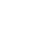 x-logo-white